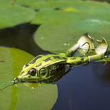 Lunkerhunt Prop Frog 1/2oz 3.5"