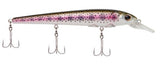 BHBHSF11^Rainbow Trout.jpg?0