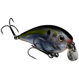 Strike King KVD Squarebill 1.5 Shallow Crankbait