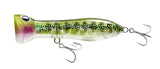 Nomad Chug Norris 95 Floating Popper 3-3/4"