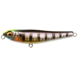 Megabass Dog-X Jr. Coayu