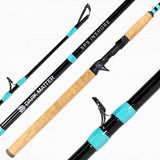 Dark Matter SPS Inshore Casting Rod