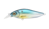 Megabass Flapslap Shallow Crank