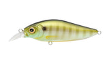 Megabass Flapslap Shallow Crank