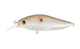 Megabass Flapslap Shallow Crank