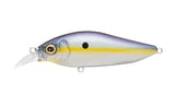 Megabass Flapslap Shallow Crank