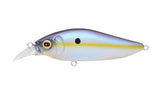 Megabass Flapslap Shallow Crank
