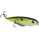 Strike King KVD Sexy Dawg Jr. Topwater