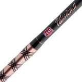 Penn Passion II Spinning Combo