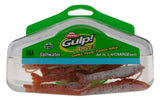 Gulp! Alive! Saltwater Shrimp 4" Pint