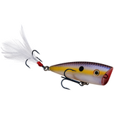 Strike King KVD Splash Jr.