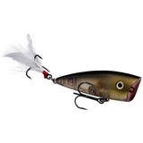 Strike King KVD Splash Jr.