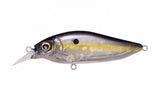 Megabass Flapslap Shallow Crank