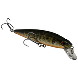 Strike King KVD Jerkbait 200 2 Hook