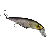 Strike King KVD Jerkbait 200 2 Hook