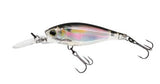 R1312^Gizzard Shad.jpg?0